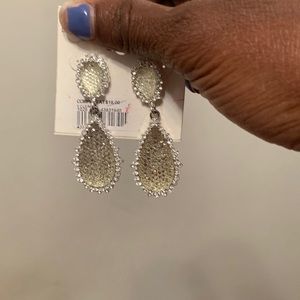 Teardrop Earrings
